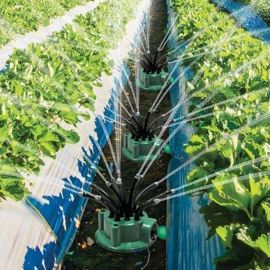 Kit d'arrosage Flexipoint de l'âne orange - Lot de 2 avec 24 buses flexibles - Irrigation efficace pour le jardin et l'herbe - Système d'arrosage