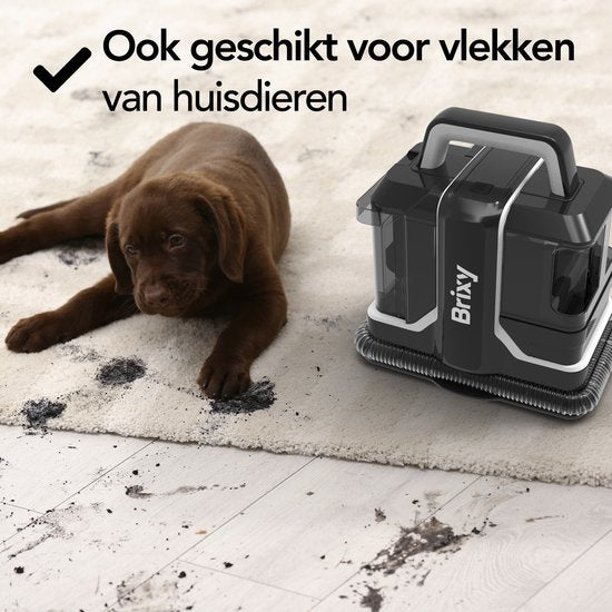 Brixy Professional Carpet Cleaner - Stain Cleaner - 2 Brushes - Powerful And Portable - Sofa Cleaner - Furniture Cleaner - Seat Cleaner - Black