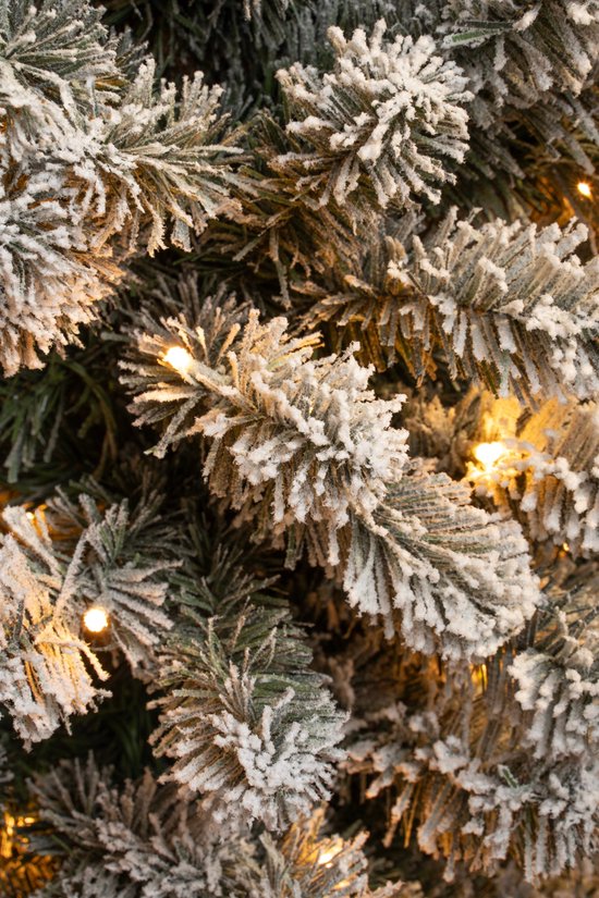 Black Box Trees Charlton Narrow Artificial Christmas Tree with Warm White LED Lights - H215 x Ø56 cm - Green Frosted