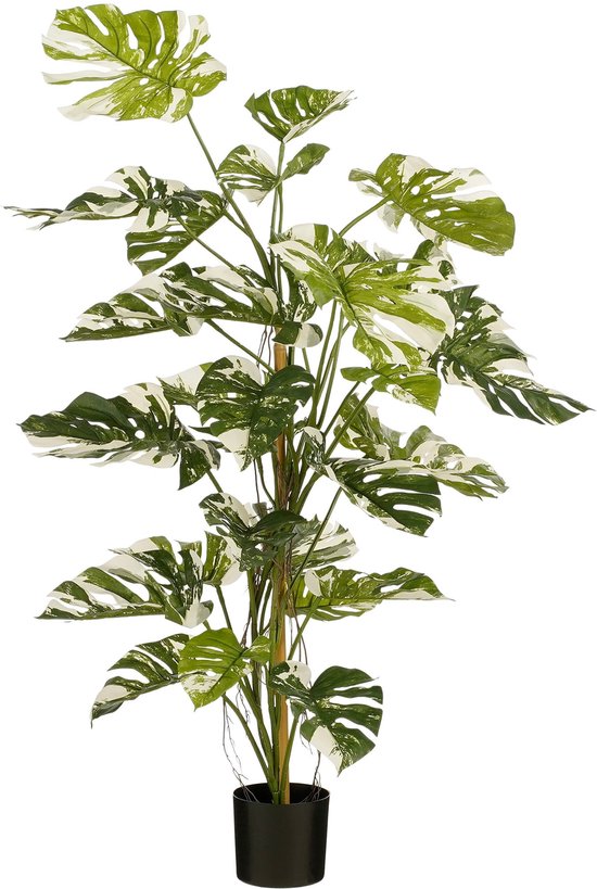 Mica Decorations Arbre Monstera Plante Artificielle - H140 x Ø120 cm - Vert
