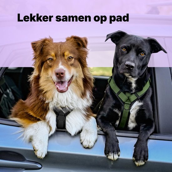 Harnais Jake et Jacky pour grands chiens - Harnais anti-traction - Harnais Y pour chien - Harnais pour chien - Noir - Taille L