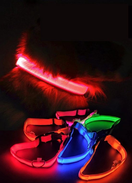 Collier lumineux LED Taille XL 42 - 56 cm USB Rechargeable Collier Chien Laisse Chiot - Bleu Chien Chat Chat - Dutchwide