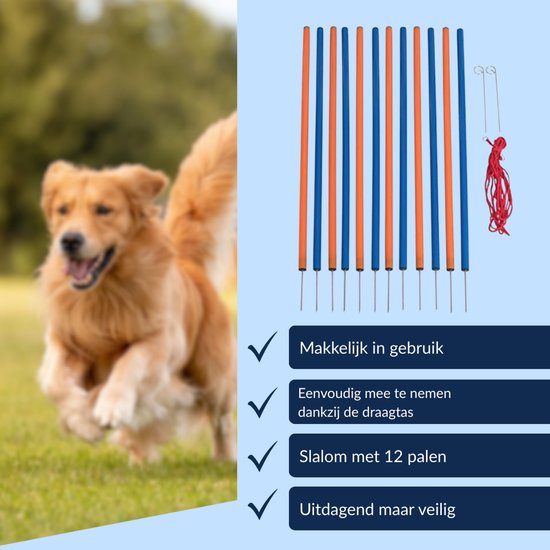 Set de slalom pour chien 12 pièces - Agility - hauteur 98 cm - set d'agility - set d'agility pour chien - slalom - set d'agility pour chien - set d'agility