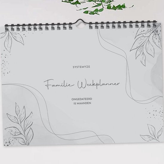 Systemyze Family Planner Basic 2025 - Agenda - Semainier - Agenda familial - Non daté - Gris