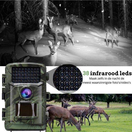 CAMUX Caméra professionnelle pour animaux sauvages 16MP avec vision nocturne - Caméra pour animaux sauvages - Carte SD 32GB incluse