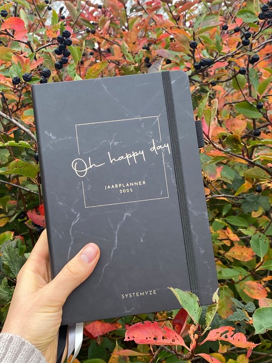 Systemyze Agenda 2025 Adultes - Planificateur - Journal - Organiseur - Feuilles d'autocollants incluses - Format A5 - Anthracite
