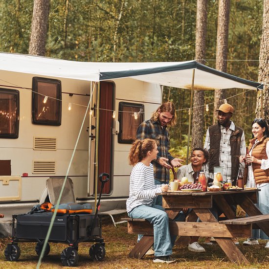 LifeGoods Wagon - Pliable - 100KG - 135L - Wagon pliable avec roues amovibles - Housse de protection - Noir