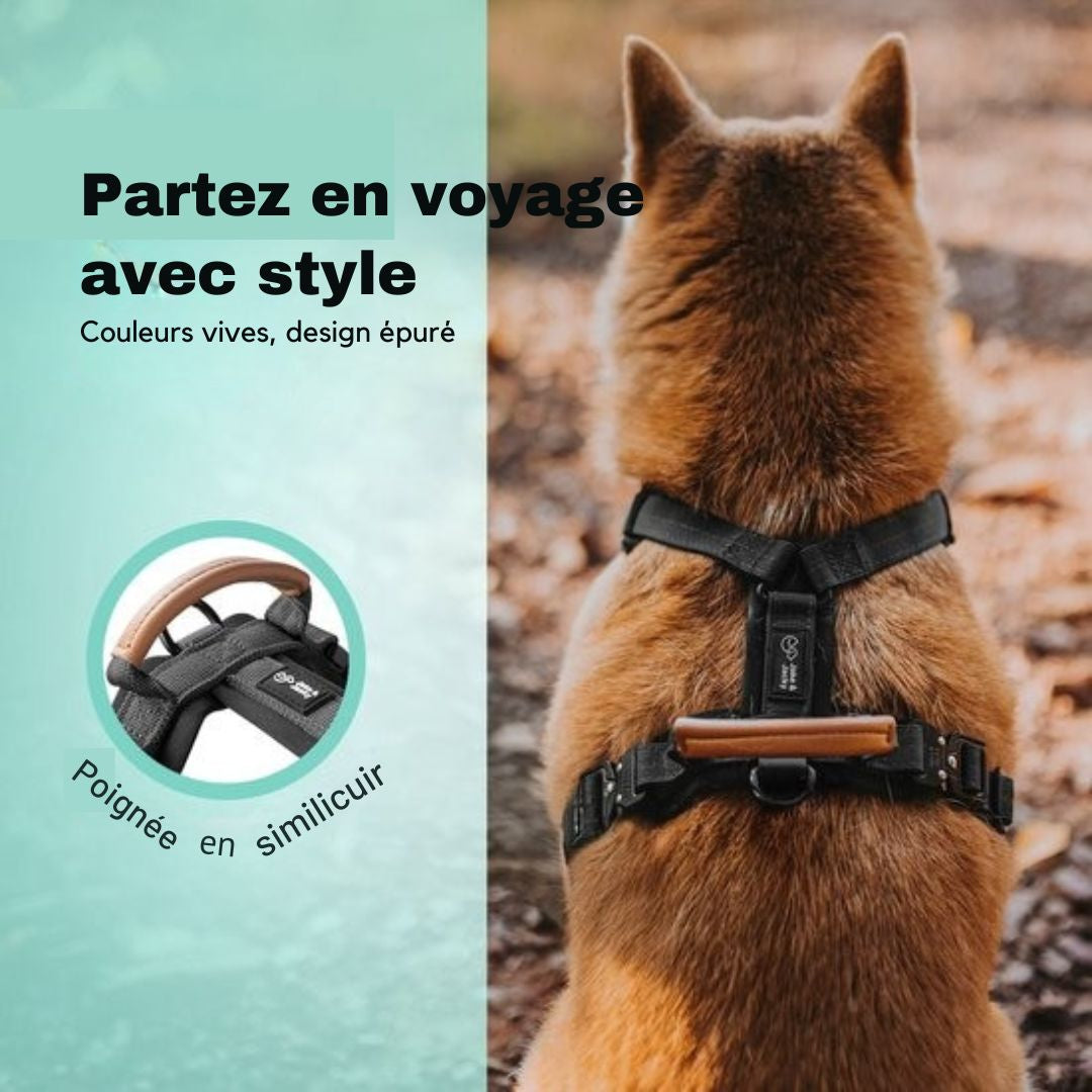 Harnais Jake et Jacky pour grands chiens - anti-traction - Taille L - Noir