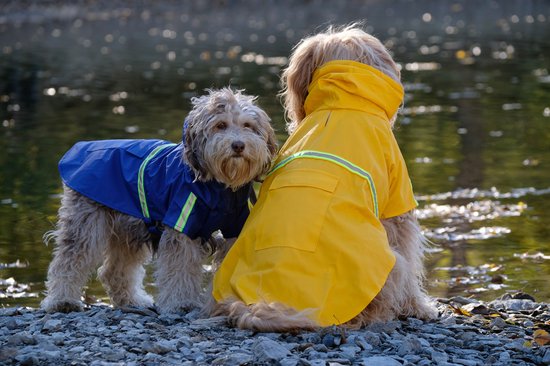 Dutchwide - Manteau pour chien - Imperméable pour chien - Bleu - Taille S