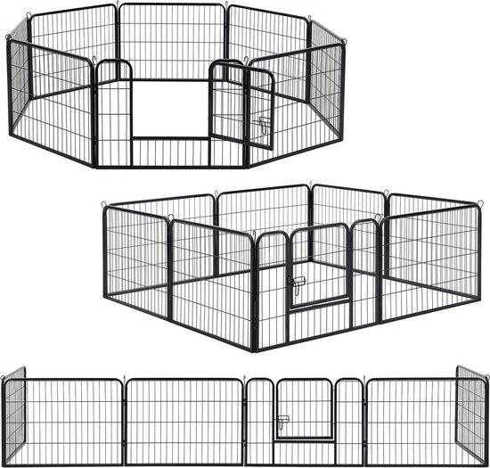 Course de chiots