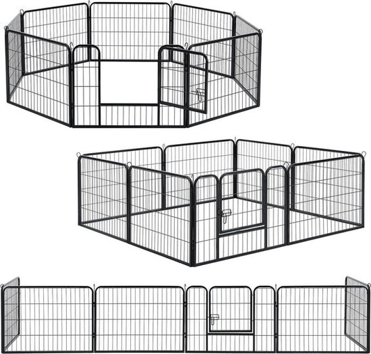 Course de chiots