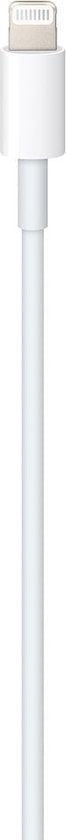 Câble USB-C vers Lightning Apple Original - 100 cm