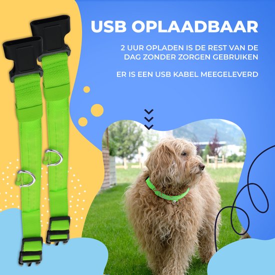 Dutchwide Collier lumineux pour chien - Extra fort - L 41 cm à 52 cm - Collier pour chien - Collier à mousqueton - Ajustable - Réfléchissant
