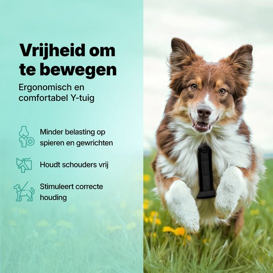 Harnais Jake et Jacky pour grands chiens - Harnais anti-traction - Harnais Y pour chien - Harnais pour chien - Noir - Taille L