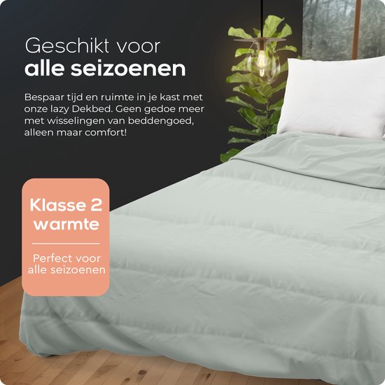 Sleeptime 2 in 1 Duvet - Couette sans housse - 240x200 - Grey
