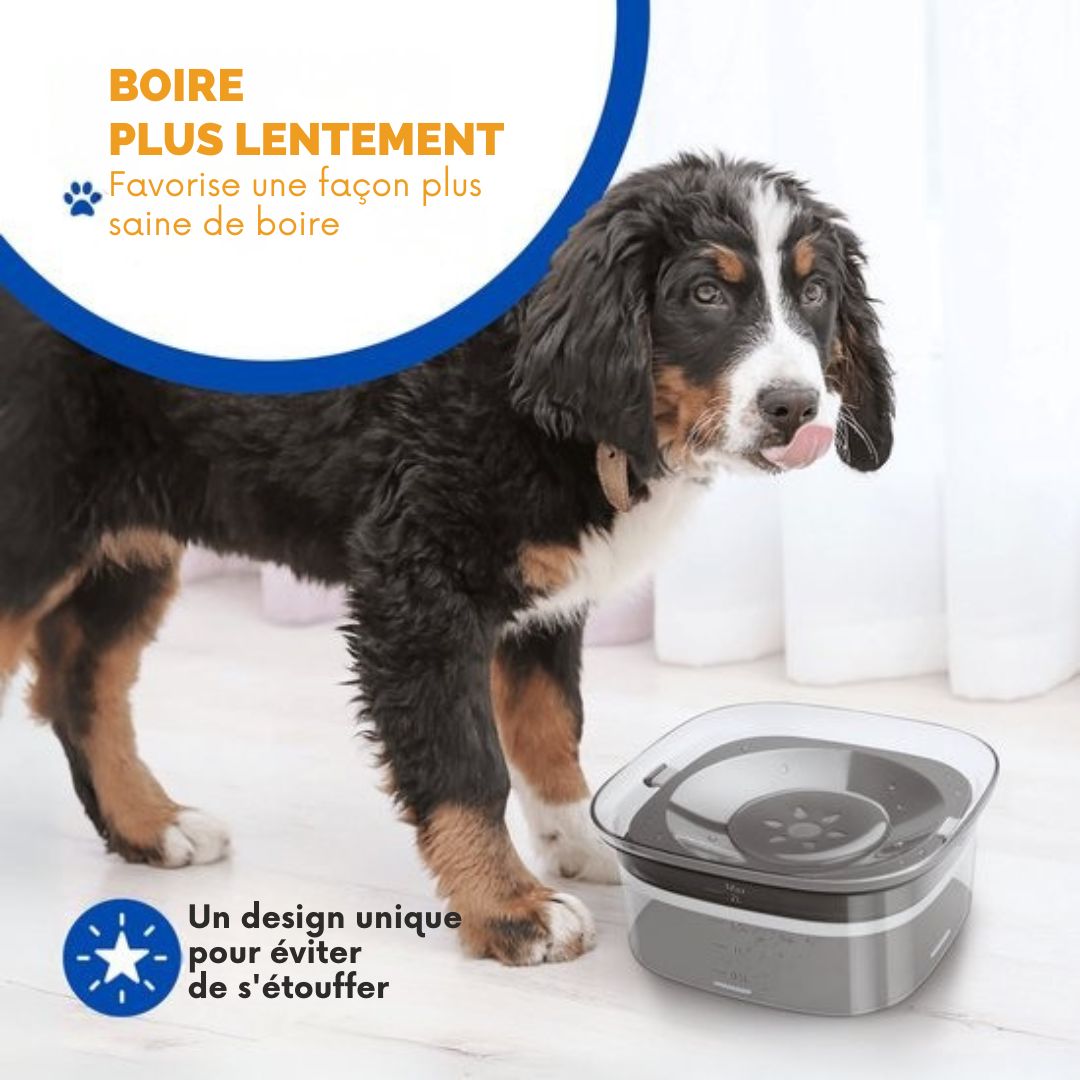 Bol à eau pour chiens Vulpes Goods® - Anti-renversement - Réduit la bave - En déplacement - 2L - Transparent Noir