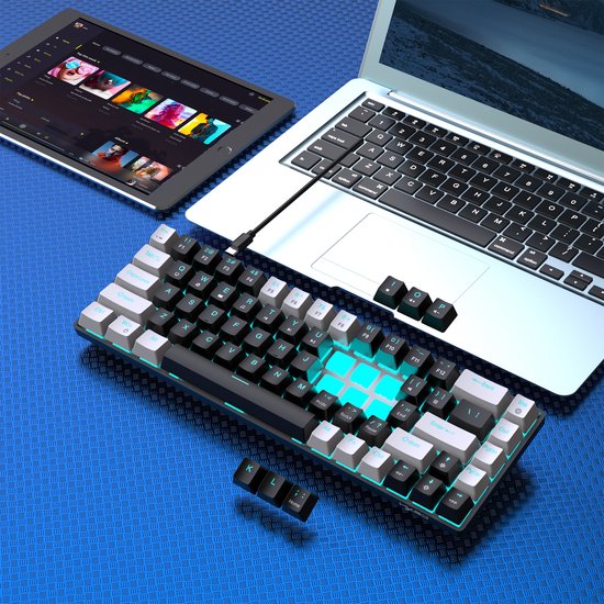 HXSJ V800 - Clavier de jeu filaire - RGB - Mécanique - Claviers QWERTY - 68 touches - Interrupteur bleu - Noir Blanc
