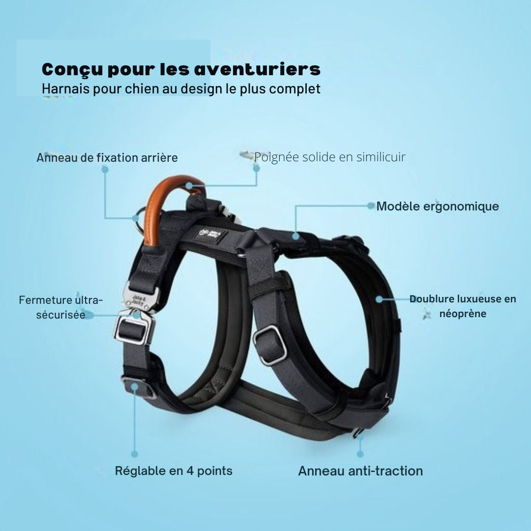 Harnais Jake et Jacky pour grands chiens - anti-traction - Taille L - Noir