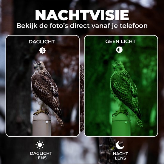 Caméra Denver avec vision nocturne et WiFi - 4K Ultra HD - 48MP - WiFi - TrailCam GO app - Ecran LCD - Etanche - WCT8026