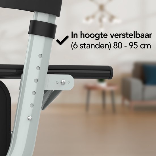 Rollator Brixy - Léger et pliable - Fonction siège - Dossier, sac et support de canne - Gris