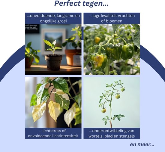 a sunny day LED grow light - lampe de culture - spectre complet - grow & bloom - lampe de culture - lampe de culture à spectre complet - 45 Watt - 30 x 30 cm - 225 LEDs
