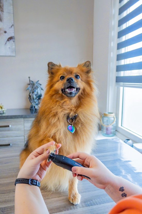 Dutchwide Tondeuse pour chiens et chats - Pour poils épais - Tondeuse silencieuse - Sans fil - Kit de toilettage pour animaux - Tondeuse pour chiens - Tables de coupe pour chiens - Tondeuse