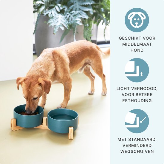Gamelle pour chien - Bol à boire - Avec support en bambou - 2x 800 ml - Taille M - Vert Mat