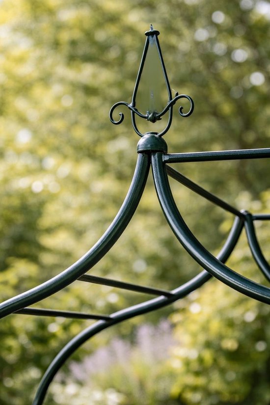 Ceruzo Arche de roses 255 cm - Arche de jardin en métal - Aide à l'escalade - Arche de fête - Vert foncé