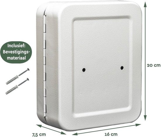 BRASQ Armoire à clés - 16x20x7,5 cm - Coffre à clés - Boîte à clés - Avec serrure cylindrique - 20 crochets pour clés - KC100 - Gris