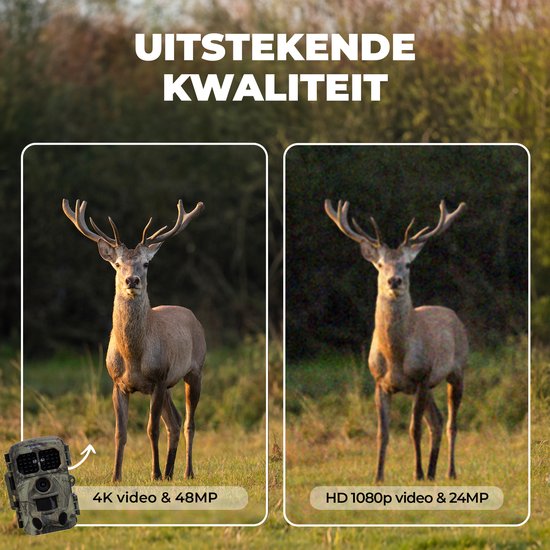 Caméra Denver avec vision nocturne et WiFi - 4K Ultra HD - 48MP - WiFi - TrailCam GO app - Ecran LCD - Etanche - WCT8026