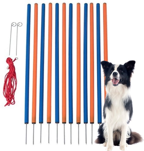 Set de slalom pour chien 12 pièces - Agility - hauteur 98 cm - set d'agility - set d'agility pour chien - slalom - set d'agility pour chien - set d'agility