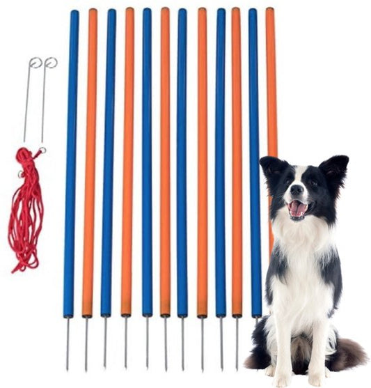 Set de slalom pour chien 12 pièces - Agility - hauteur 98 cm - set d'agility - set d'agility pour chien - slalom - set d'agility pour chien - set d'agility