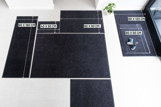 Paillasson Set 2 pièces Studio M - NEO - Tapis de séchage intérieur gris - 60x90 cm - Paillasson antidérapant Anthracite - Paillasson Advantage Package