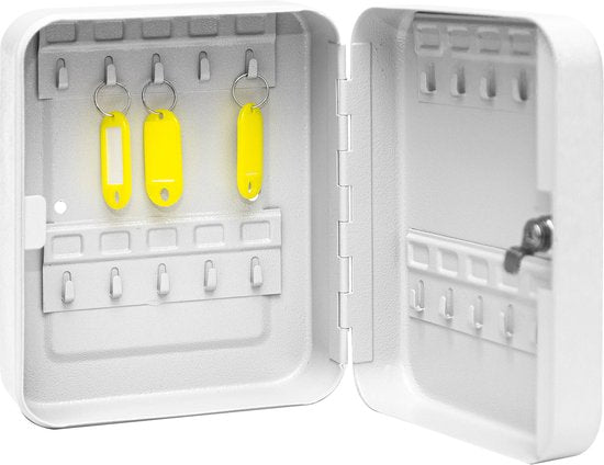 BRASQ Armoire à clés - 16x20x7,5 cm - Coffre à clés - Boîte à clés - Avec serrure cylindrique - 20 crochets pour clés - KC100 - Gris