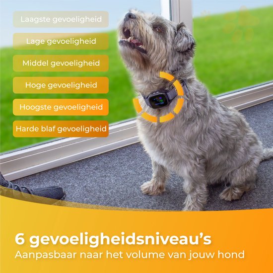 Nuvance Collier anti-aboiement digital - Dispositif anti-aboiement sans choc - Rechargeable - Collier anti-aboiement pour chiens et chiots - 6 étapes