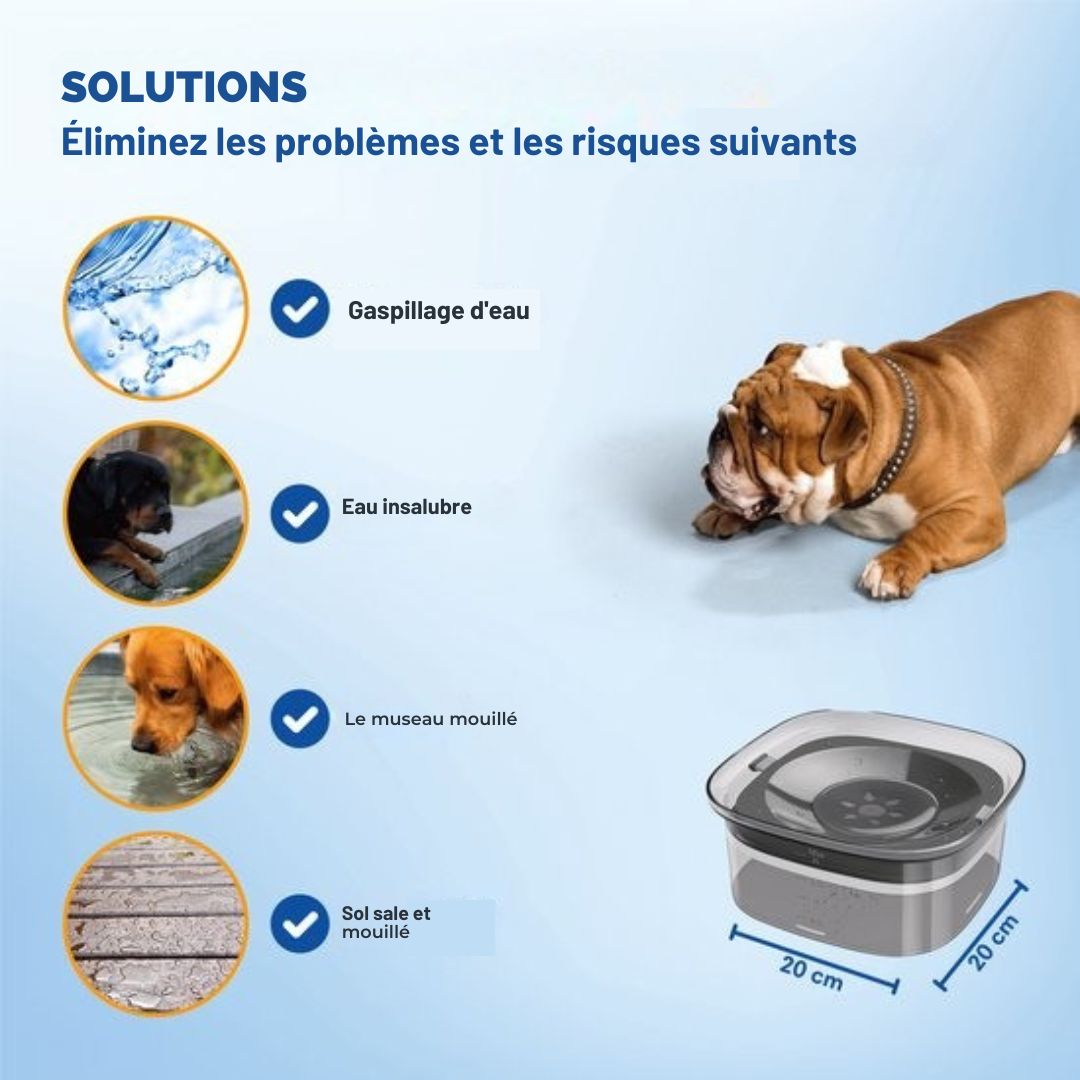 Bol à eau pour chiens Vulpes Goods® - Anti-renversement - Réduit la bave - En déplacement - 2L - Transparent Noir