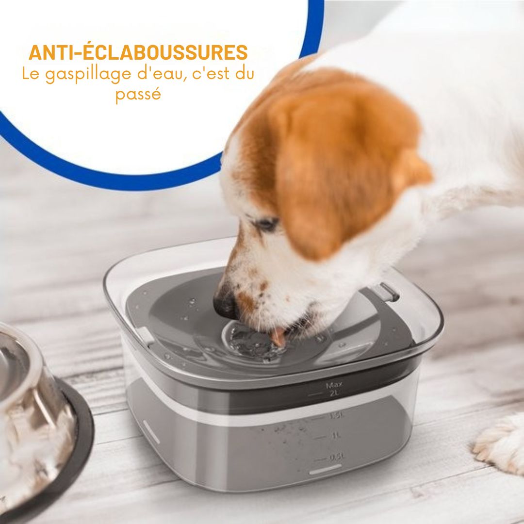 Bol à eau pour chiens Vulpes Goods® - Anti-renversement - Réduit la bave - En déplacement - 2L - Transparent Noir