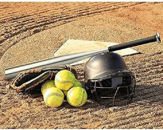 HELDENWERK - Batte de baseball - Aluminium - Argent - 79 cm - Avec poignée antidérapante et sac de transport - Légère et robuste - Idéale pour l'entraînement et l'autodéfense