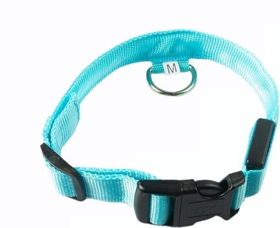 Collier lumineux LED Taille XL 42 - 56 cm USB Rechargeable Collier Chien Laisse Chiot - Bleu Chien Chat Chat - Dutchwide