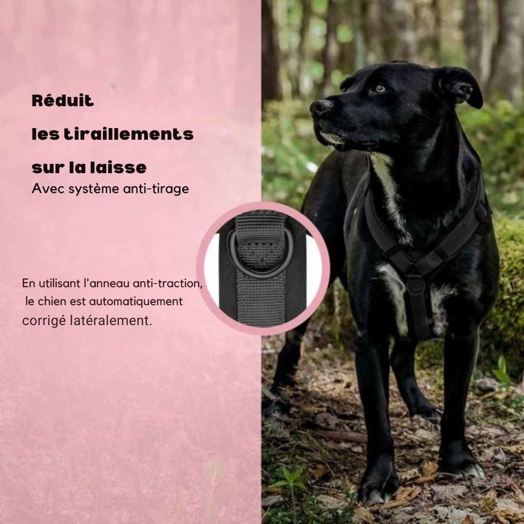 Harnais Jake et Jacky pour grands chiens - anti-traction - Taille L - Noir