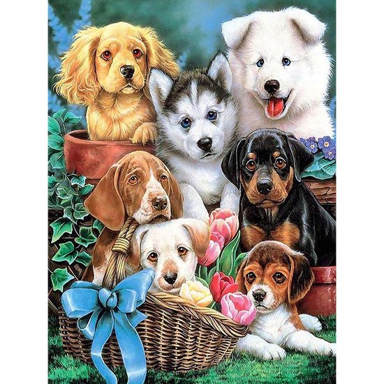 Happy Painter peinture au diamant adultes et enfants - chiots dans le jardin - 30x40 cm - peinture au diamant paquet complet