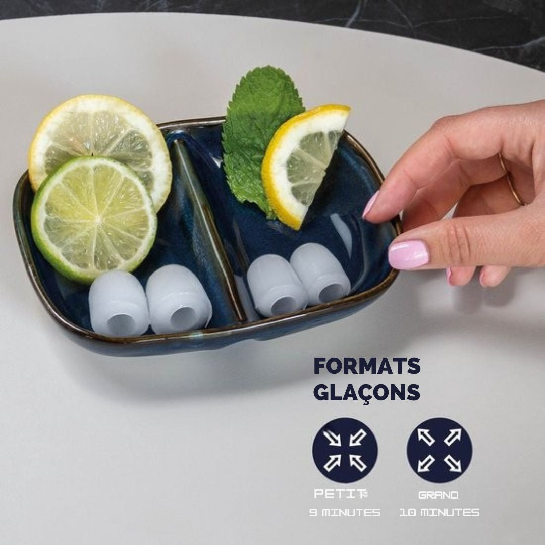 Machine à glaçons BREND - avec cuillère et plateau d'égouttage - Grands L ou petits S glaçons - 10 kg en 24 heures - Argenté