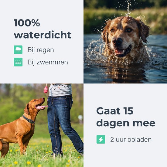 Dutchwide Anti-Bark Collar Pro - 100% étanche - Collier de dressage pour chiens - Avec dispositif anti-aboiement - Convient aux petits et grands chiens - Aide au dressage des chiens