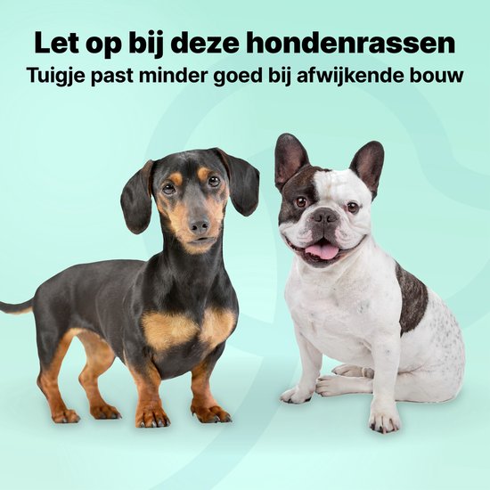 Harnais pour chien Jake et Jacky - Harnais anti-traction - Harnais pour chien - Harnais Y pour chien - Réfléchissant - Noir - Taille XL