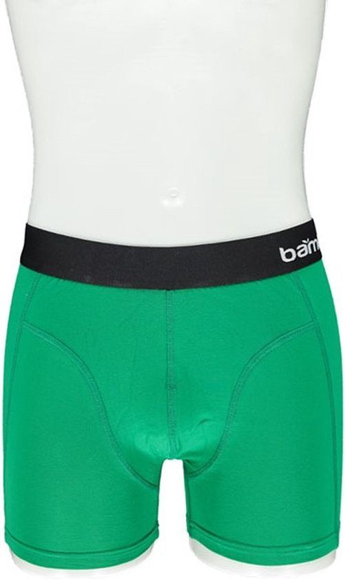 Caleçon boxeur en bambou pour hommes, bleu/vert, paquet de 2 - Taille XL
