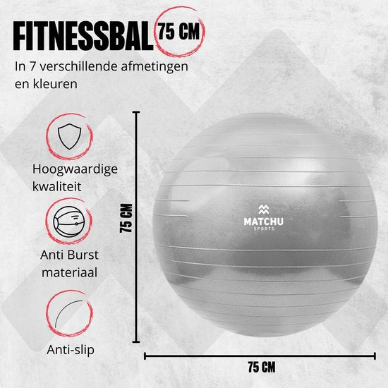 Matchu Sports - Ballon de fitness - Ballon de Pilates - Anti Burst - Ballon de grossesse - Ballon de gym - Ballon pour s'asseoir - Pompe incluse - Ø 75cm - Argent - 300 KG chargeable