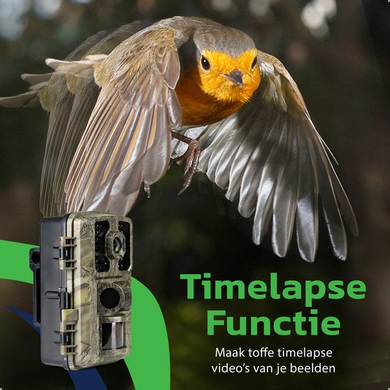 EarthVision Wildlife Camera Falcon - Vision nocturne - Caméra professionnelle 4K pour animaux sauvages - Caméra infrarouge - Caméra d'extérieur - Carte SD 32gb incluse - Étanche