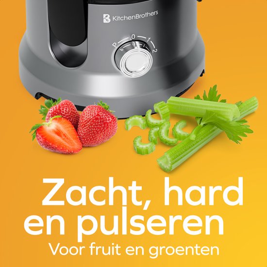 KitchenBrothers Extracteur de jus - Pour légumes et fruits - Extracteur de jus - Avec récipient à pulpe - 500ml - 600W - Argent/Gris