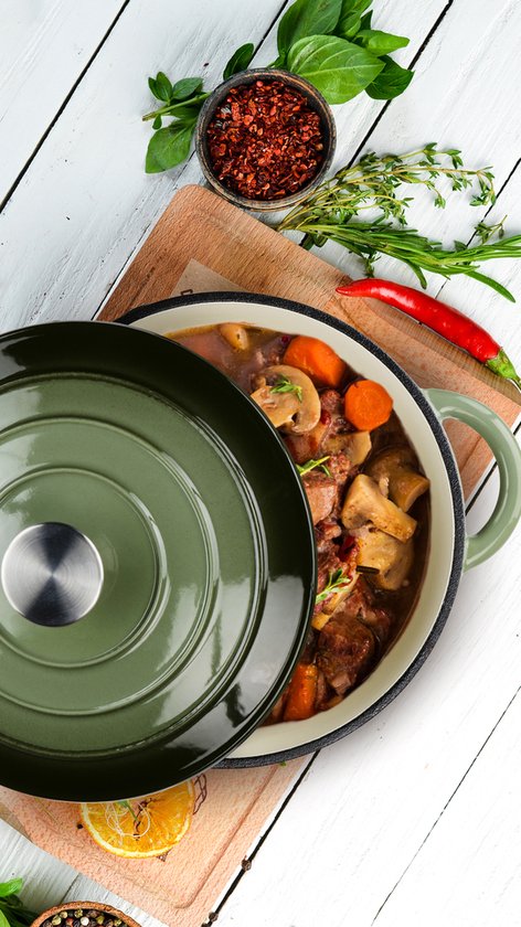 alpina Casserole en fonte avec couvercle - Plaque de cuisson ⌀ 24 cm - Toutes sources de chaleur - Vert