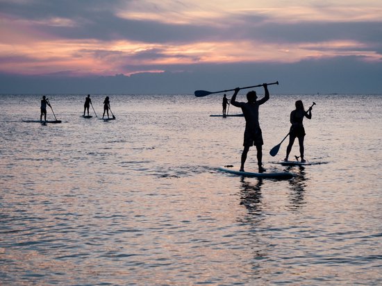 Pacific Special Edition Sup Board - 305 cm - jusqu'à 100 kg - blanc/vert